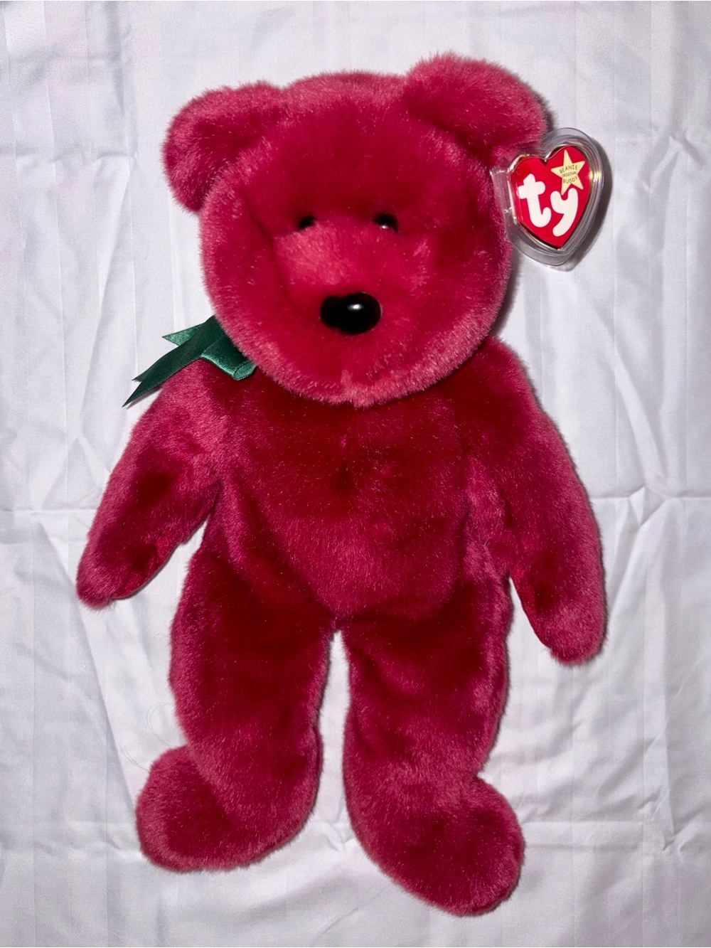 Mint 1998 TY Beanie Buddy “Teddy” Cranberry Colour with misprint on hang tag